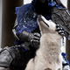 Illustration for article titled Some Very Good iDark Souls/i Cosplay